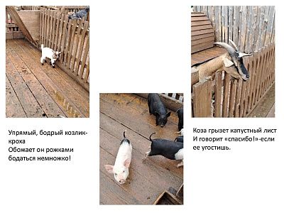 Мир за ограждением