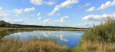 Волжские заливы