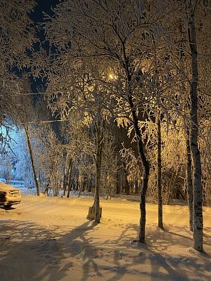Снежная пелена холодного Севера