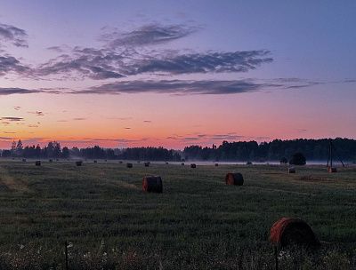 Покос