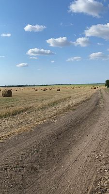 Родные края
