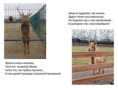 Мир за ограждением