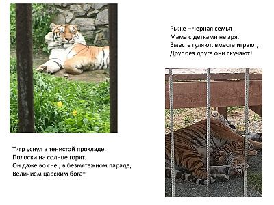 Мир за ограждением