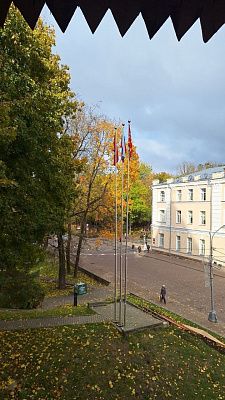 Сонный утро