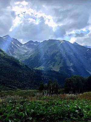 5 солнечных лучей