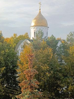 Шишкопад