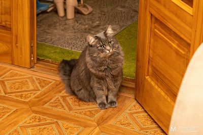 Кузя