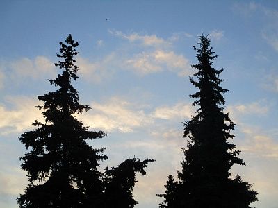 Покой и полет