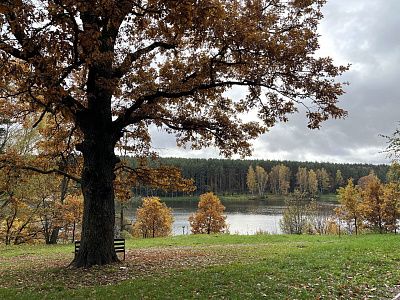 Краски осени у озера