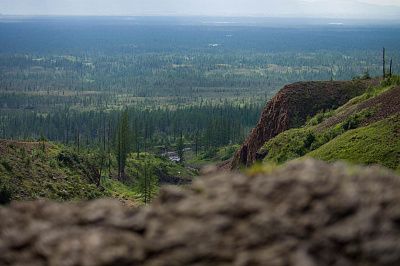 Бескрайность тундры
