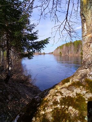 Река Онега