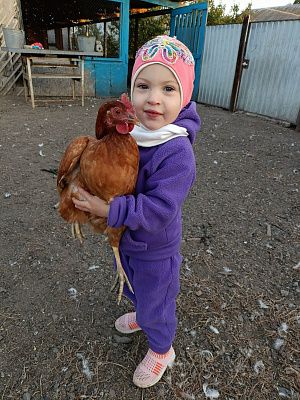 Дружелюбная птичка и моя доченька Верочка
