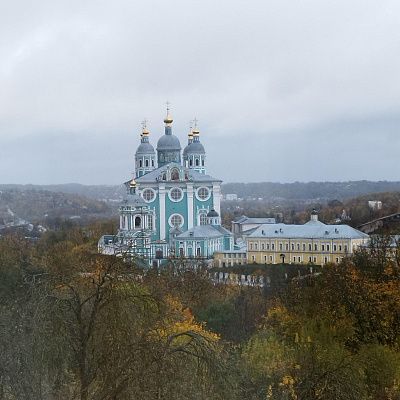 Вид