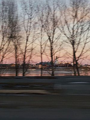 Сквозь деревья