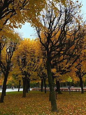 Красота в простом 