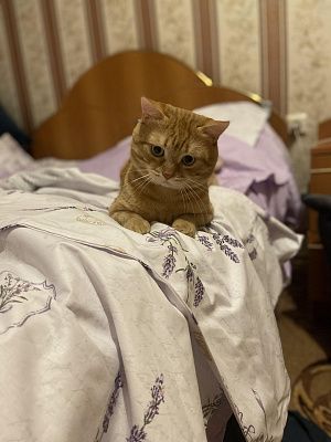 Любимый психолог! 