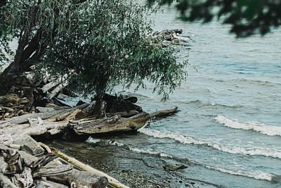 На Обском море