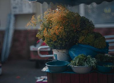 Лучший в мире букет