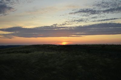 Ковыль в лучах заката