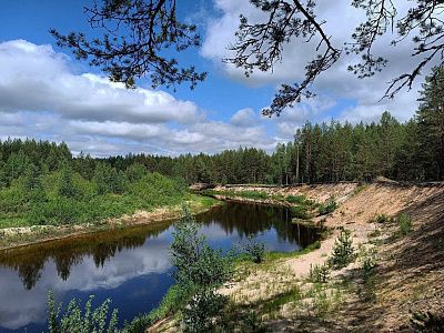 Лесная артерия