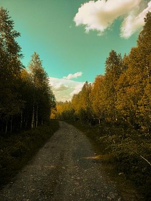 "Дорога домой"