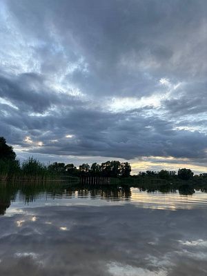 Чарующая гладь