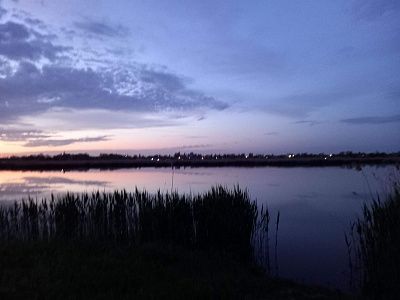 Мой любимый Пролетарск