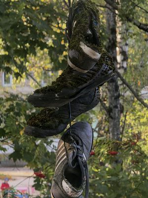 Забытое движение 