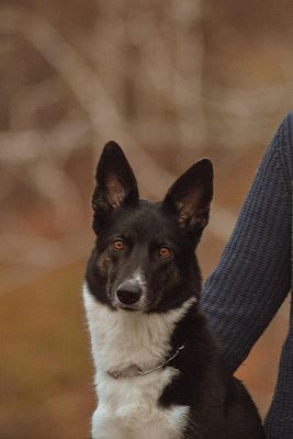 Осенний взгляд