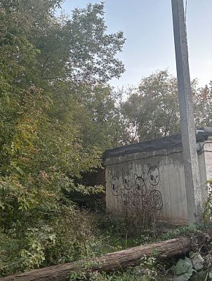уличная жизнь 