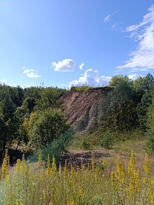 «Оттенки природы»