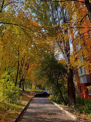 Белгородская осень