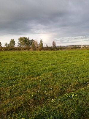 Осень... 