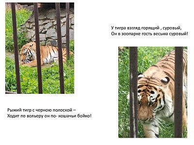 Мир за ограждением