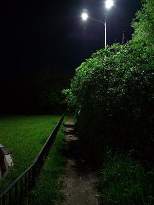 домой