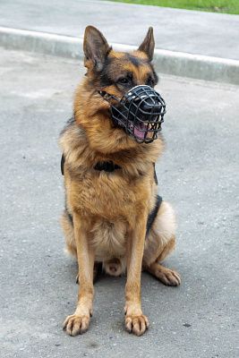 Офицер