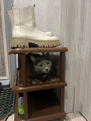 Нашёл себе местечко 
