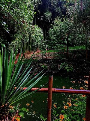 Завораживающая красота