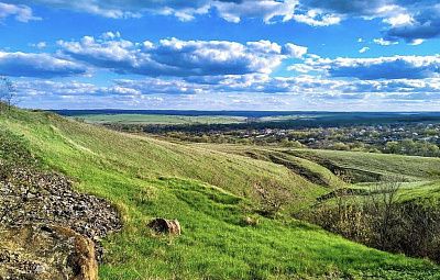 Сказочная лесостепь