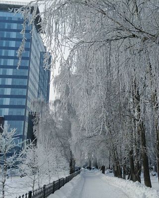 "Зима"