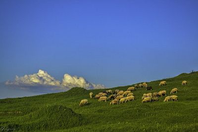 Над облаками