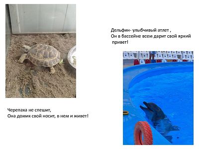 Мир за ограждением