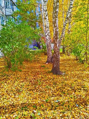 Золотая осень