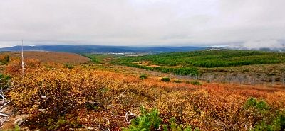 Осень пришла. Зима рядом 