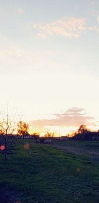 Родной край