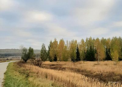 Дорога в осень