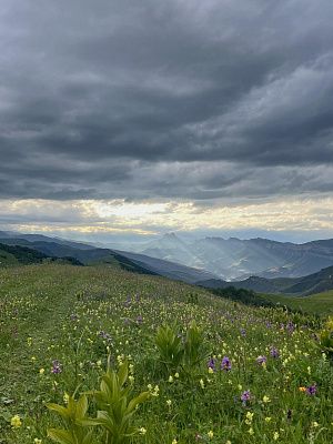 Горы в свете и цветах