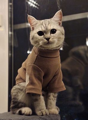 Роксолана 