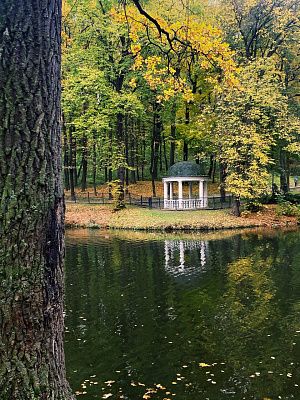 Осень в парке 