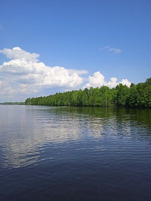 Волга - матушка